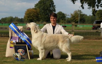 Joint GRC Championship Show UK
