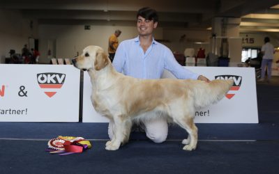 International Dog Show Klagenfurt