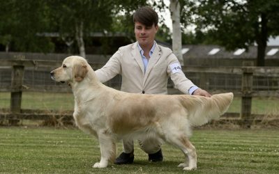 East Of England Championship Show