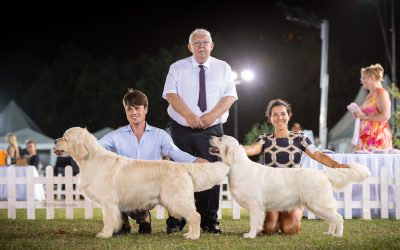 International Dog Show Portrose