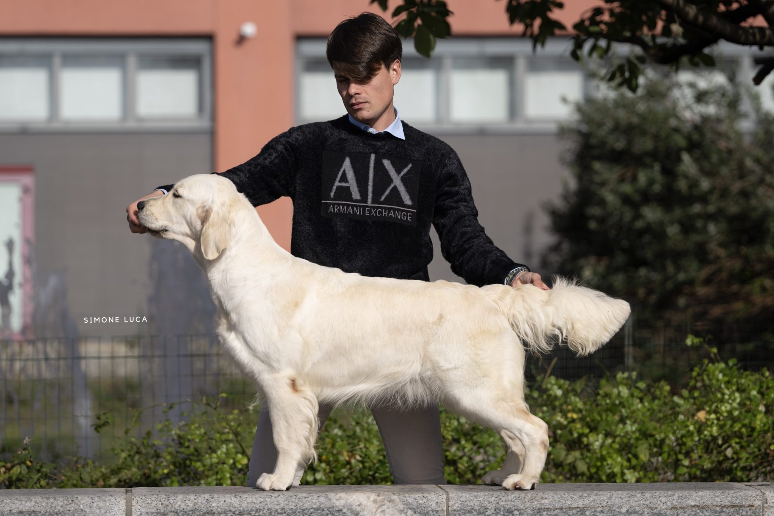 Alba