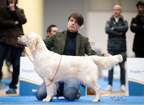 NATIONAL DOG SHOW SONDRIO