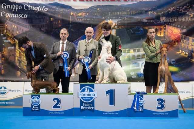 RCI SPECIALITY SHOW ERBA