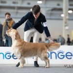 Ch. Olvinglay Wolf Whistle