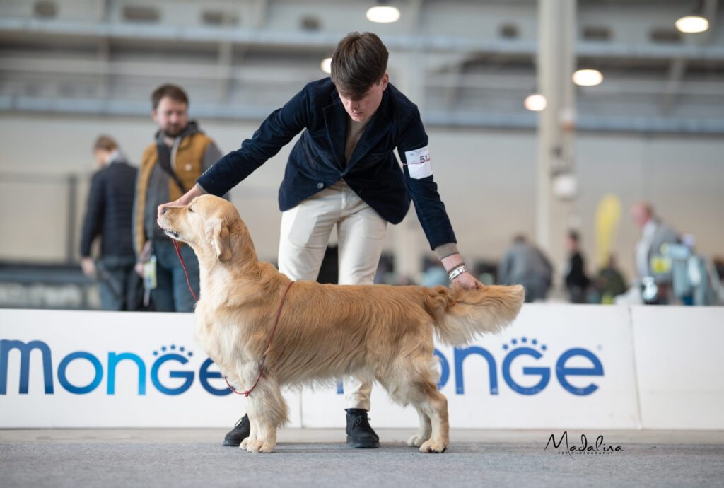 INTERNATIONAL SHOW NOVARA