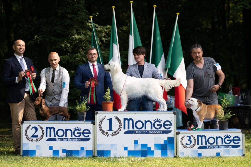 NATIONAL SHOW SEVESO