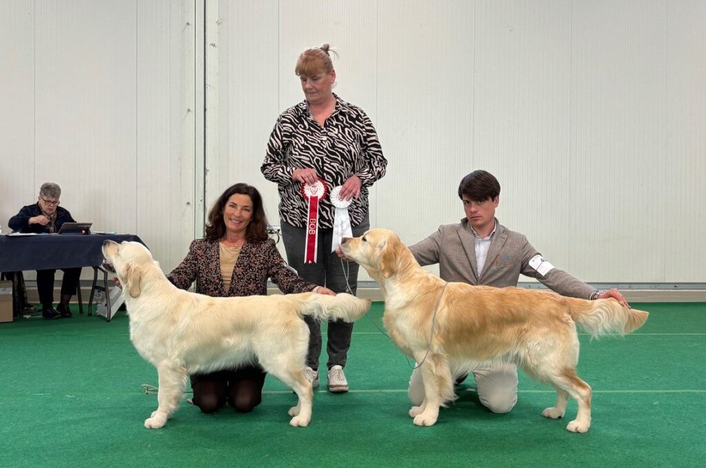 INTERNATIONAL DOG SHOW CESENA