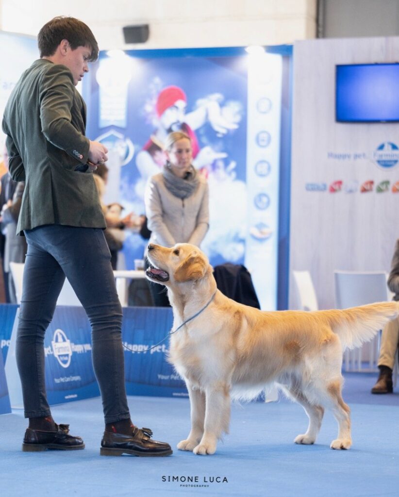 INTERNATIONAL SHOW COMO