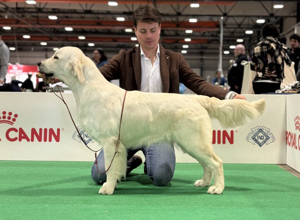 INTERNATIONAL SHOW BASTIA UMBRA