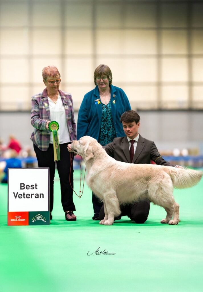 CRUFTS 2025