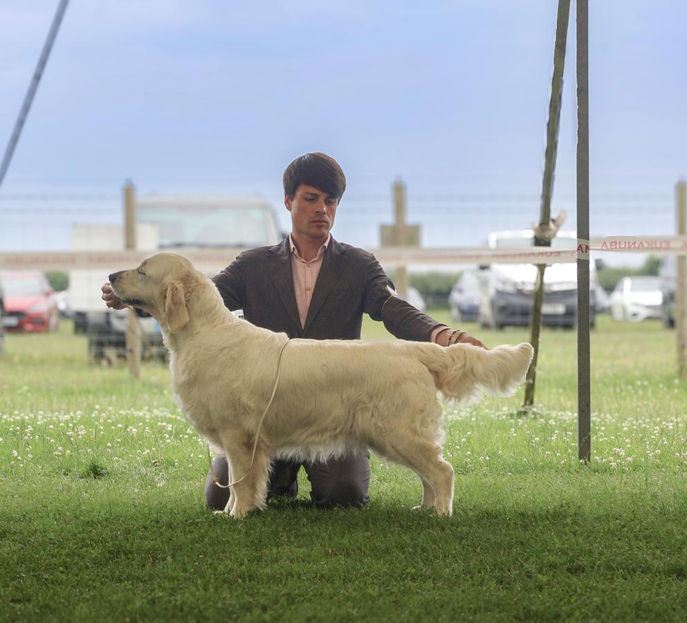 BLACKPOOL CHAMPIONSHIP SHOW