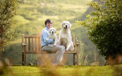 Cuccioli Golden Retriever: cosa sapere prima per la scelta giusta