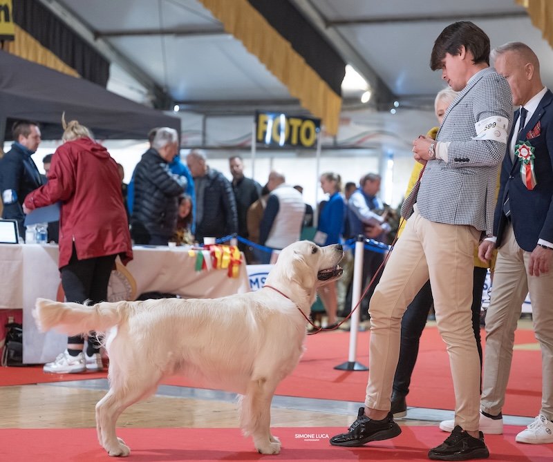 BERGAMO INTERNATIONAL SHOW