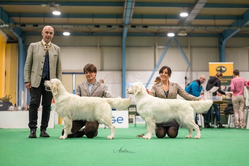 RCI CLUB SHOW INSUBRIA WINNER