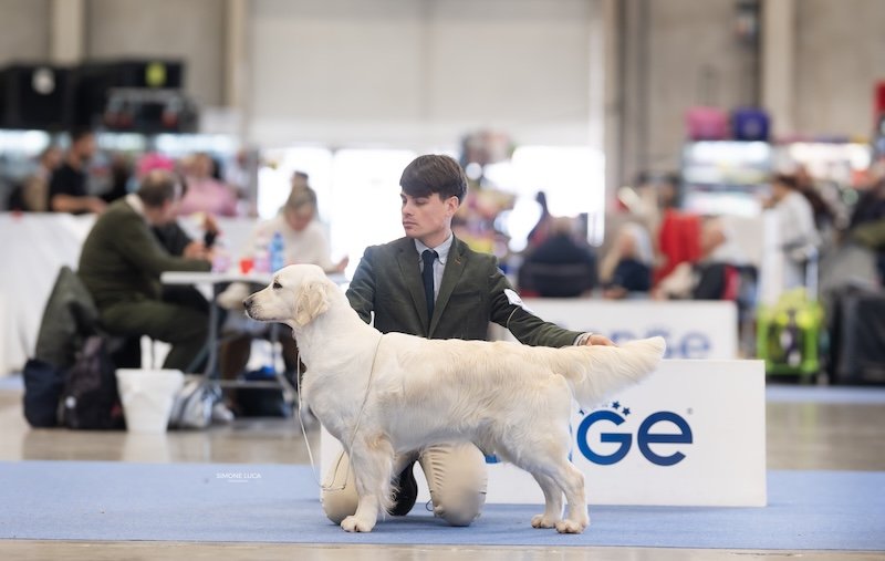 RCI SPECIALITY SHOW BOLOGNA