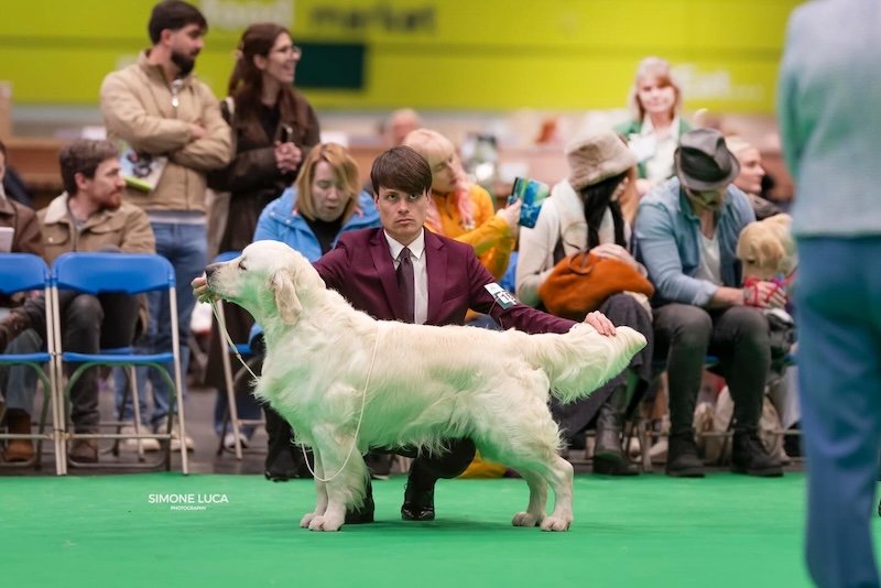 CRUFTS 2026