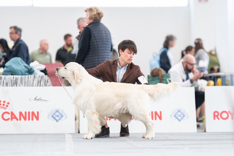 NATIONAL SHOW MILANO