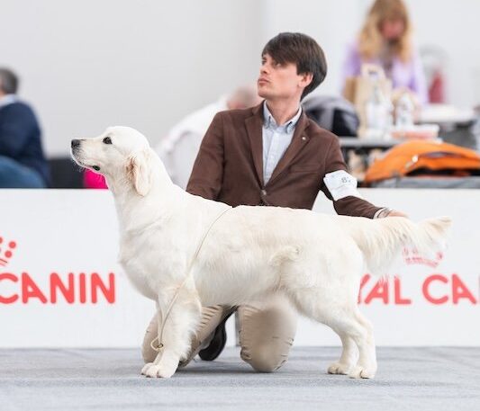 INTERNATIONAL SHOW MONTICHIARI