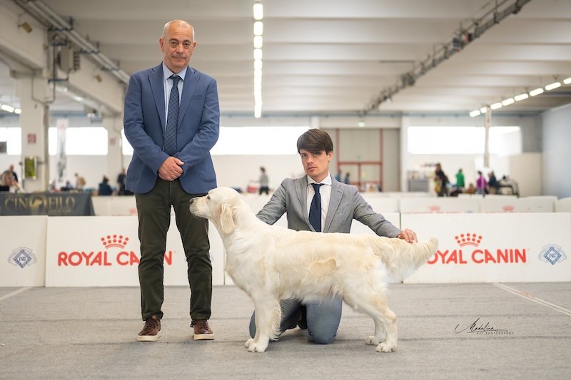 RCI SPECIALITY SHOW MONTICHIARI