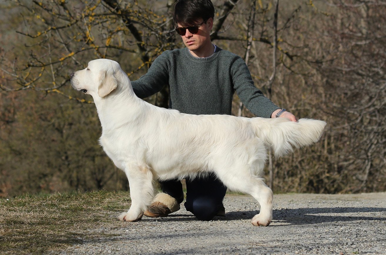 Olvinglay Romanza