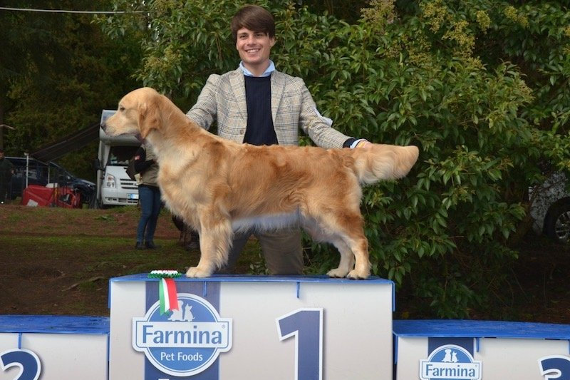 OLVINGLAY TRULY MADLY DEEPLY – Junior Italian Champion, Italian Champion