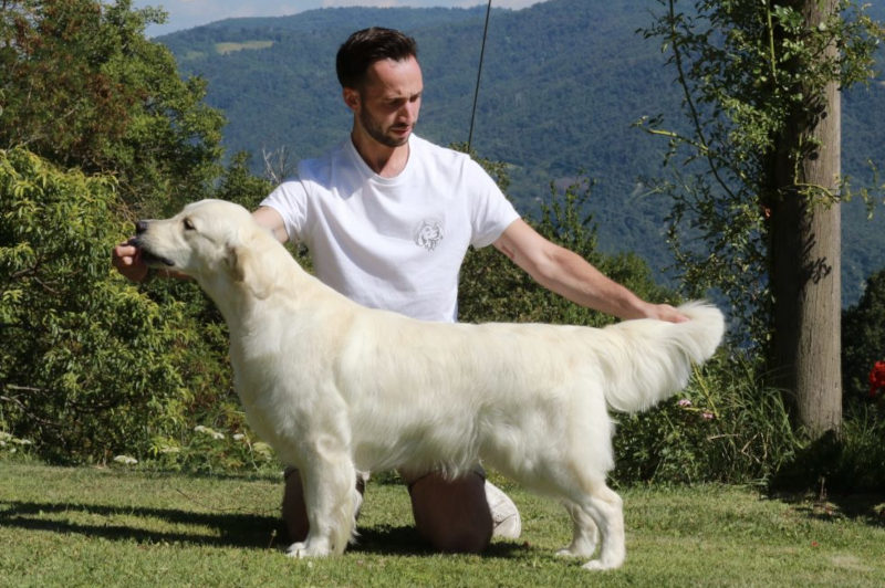 OLVINGLAY HAUTE COUTURE
