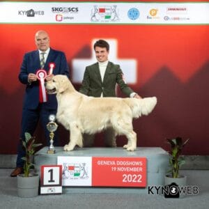 Foto 49 di Olvinglay Visionaire