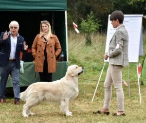 Foto 45 di Olvinglay Visionaire