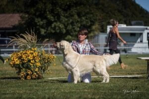 Foto 42 di Olvinglay Visionaire