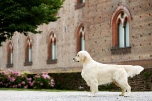 Foto 41 di Olvinglay Visionaire