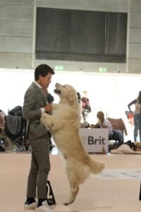 Foto 40 di Olvinglay Visionaire