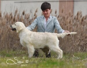 Foto 4 di Olvinglay Visionaire