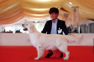 A Secret To Tell della Val d’Aveto