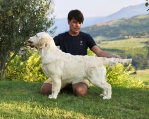 Foto 1 di Dewmist Dioressenza
