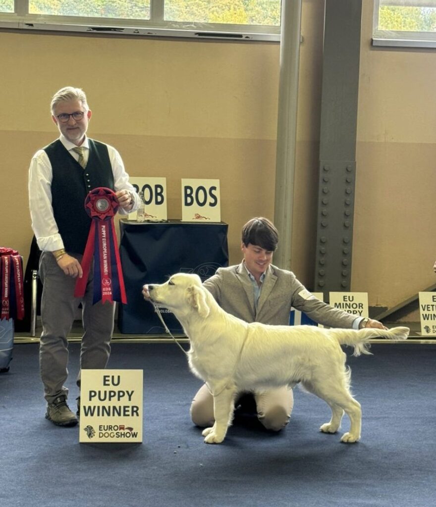 European Dog Show 2024
