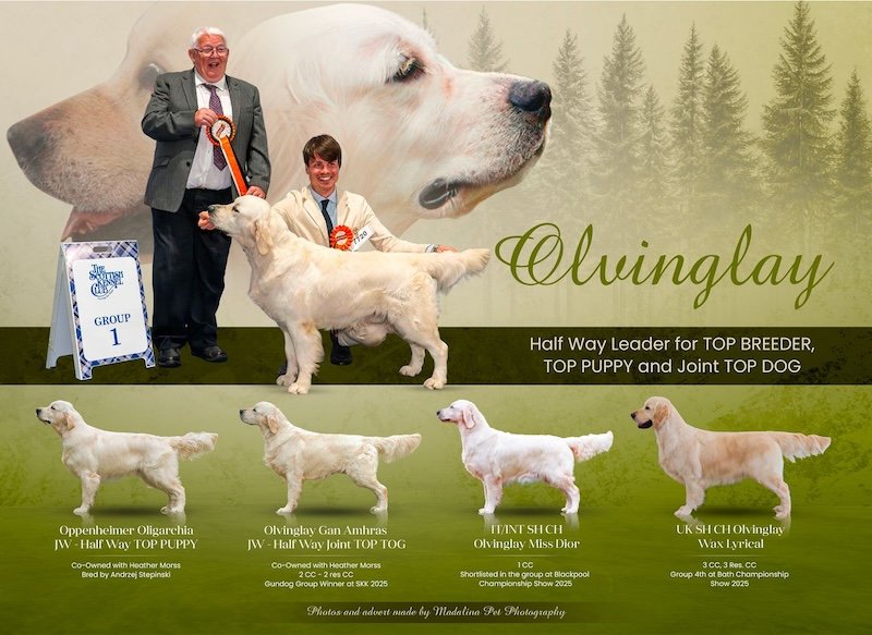 HALF WAY TOP BREEDER | TOP PUPPY | JOINT TOP DOG