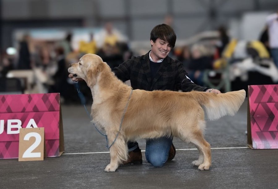 INTERNATIONAL DOG SHOW GENEVA