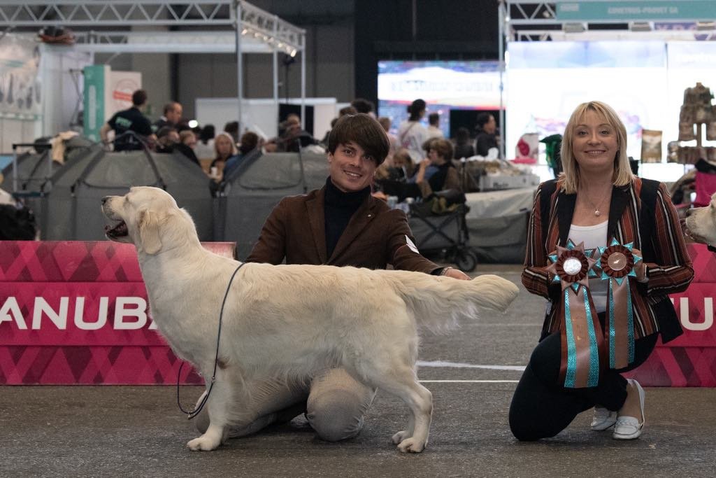 INTERNATIONAL DOG SHOW GENEVA II