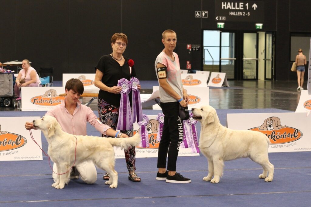 International Dog Show Salzburg II