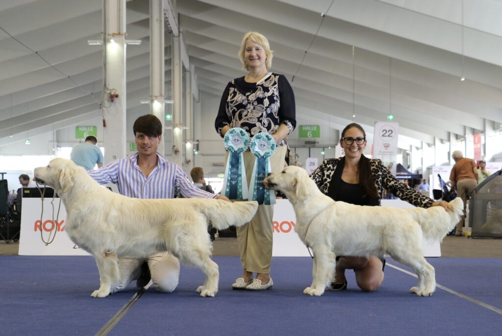 International Dog Show Tulln day 1