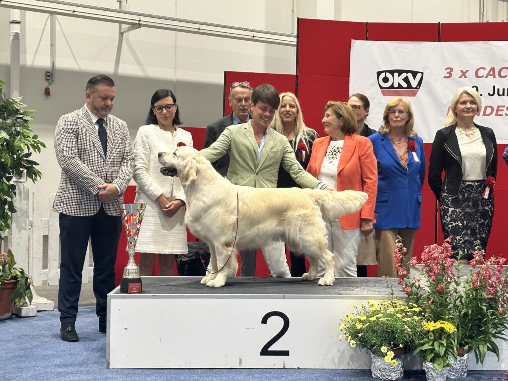 International Dog Show Tulln day 2