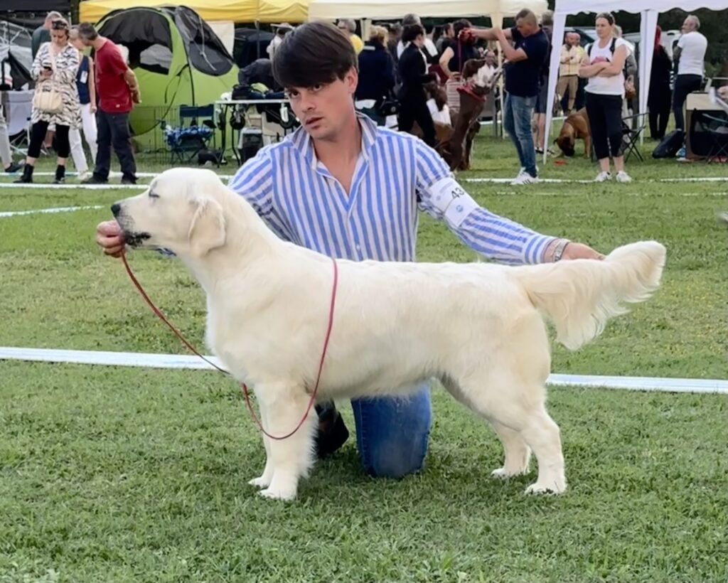 International show Prato