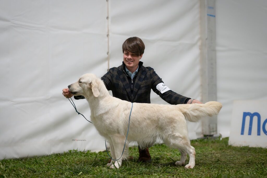 NATIONAL DOG SHOW VRTOJBA
