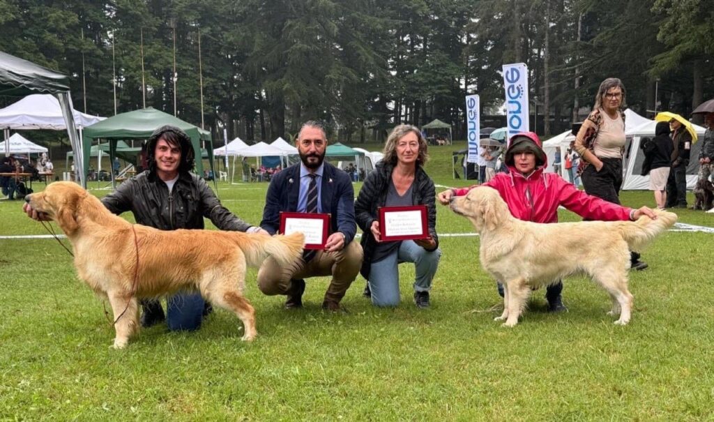 National Show Salice Terme