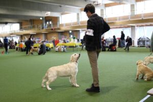 Foto 3 di Olvinglay Albachiara