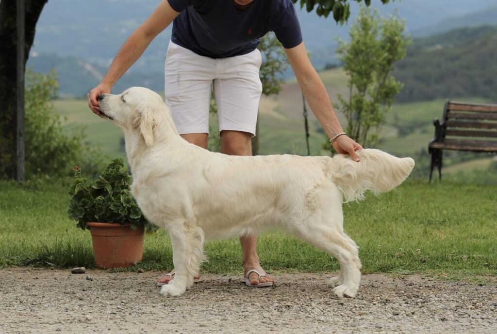 Foto di Olvinglay Evviva