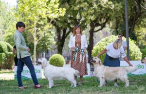 Foto 5 di Olvinglay Odette