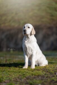 Foto 7 di Olvinglay Odette