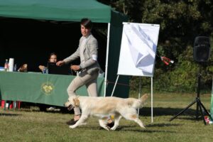 Foto 2 di Olvinglay Wax Lyrical