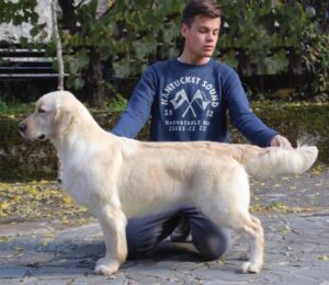 Foto 7 di Pinkerly Omnia Vincit Amor